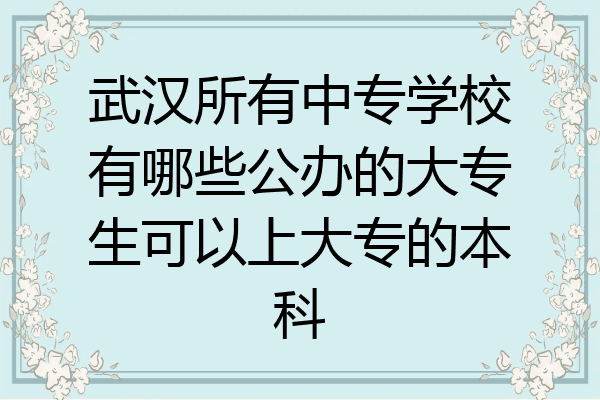 武汉所有中专学校有哪些公办的大专生可以上大专的本科