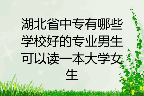 湖北省中专有哪些学校好的专业男生可以读一本大学女生