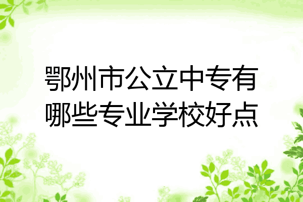 鄂州市公立中专有哪些专业学校好点