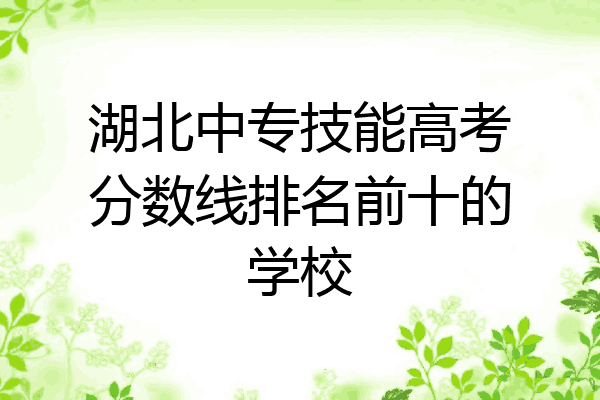 湖北中专技能高考分数线排名前十的学校