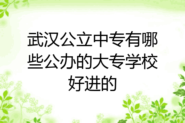 武汉公立中专有哪些公办的大专学校好进的
