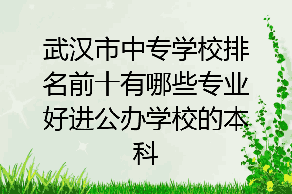武汉市中专学校排名前十有哪些专业好进公办学校的本科