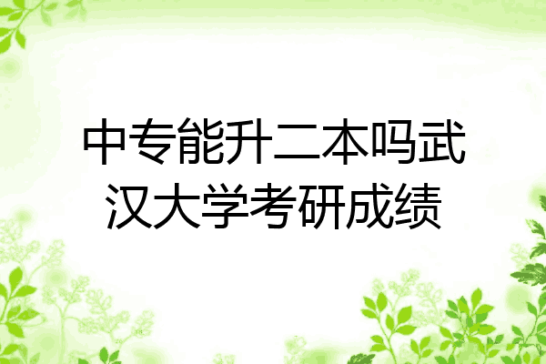 中专能升二本吗武汉大学考研成绩
