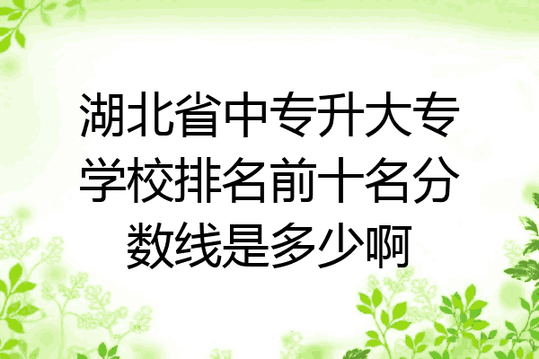 湖北省中专升大专学校排名前十名分数线是多少啊