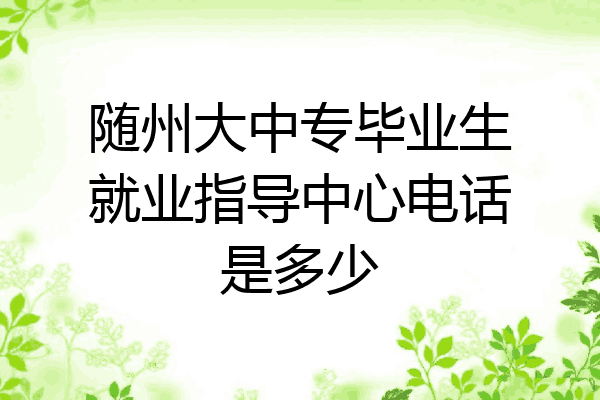 随州大中专毕业生就业指导中心电话是多少