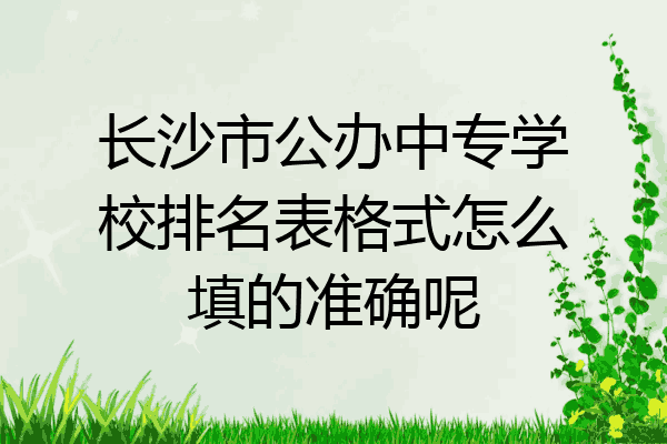 长沙市公办中专学校排名表格式怎么填的准确呢