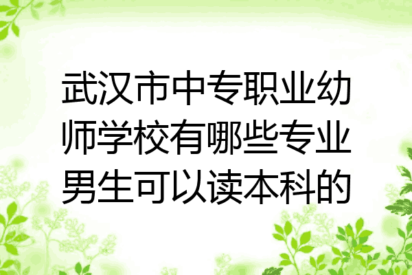 武汉市中专职业幼师学校有哪些专业男生可以读本科的