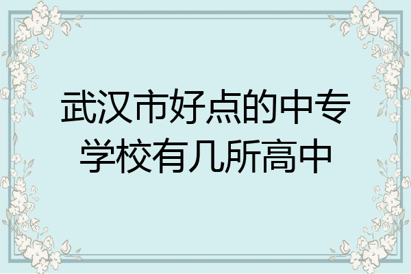 武汉市好点的中专学校有几所高中