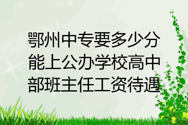 鄂州中专要多少分能上公办学校高中部班主任工资待遇