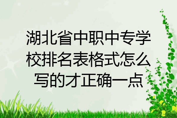 湖北省中职中专学校排名表格式怎么写的才正确一点