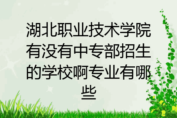 湖北职业技术学院有没有中专部招生的学校啊专业有哪些