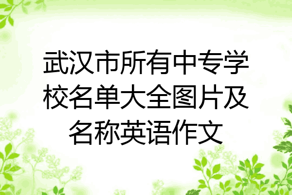 武汉市所有中专学校名单大全图片及名称英语作文