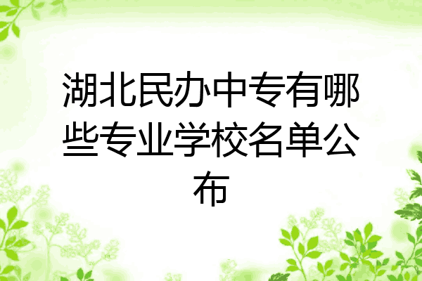 湖北民办中专有哪些专业学校名单公布
