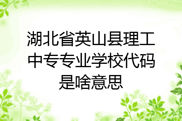 湖北省英山县理工中专专业学校代码是啥意思