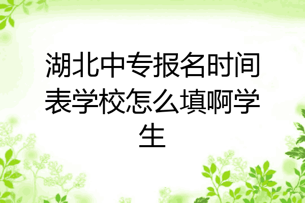 湖北中专报名时间表学校怎么填啊学生