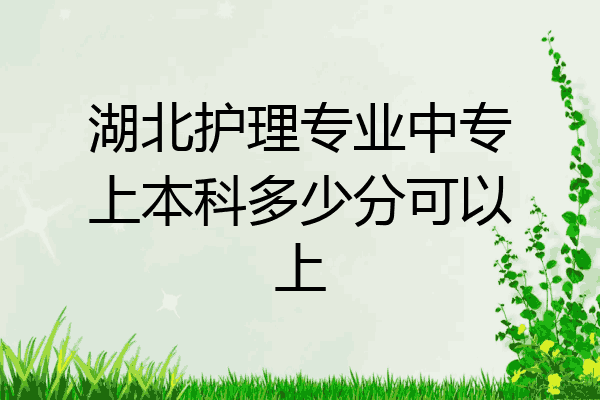 湖北护理专业中专上本科多少分可以上