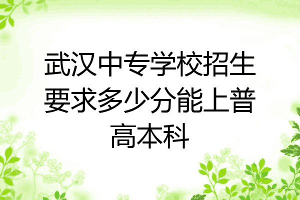 武汉中专学校招生要求多少分能上普高本科