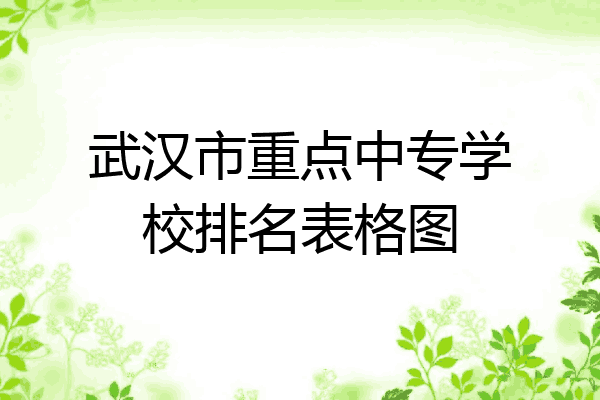 武汉市重点中专学校排名表格图