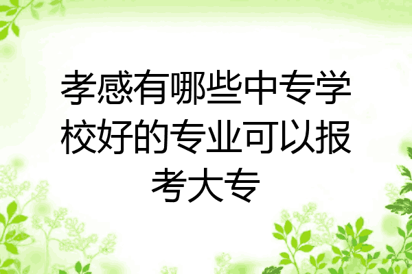 孝感有哪些中专学校好的专业可以报考大专