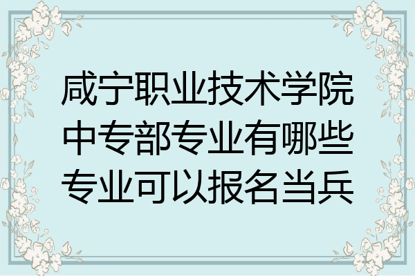咸宁职业技术学院中专部专业有哪些专业可以报名当兵