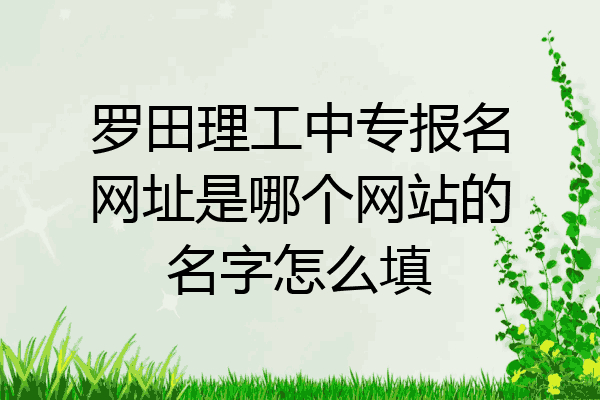 罗田理工中专报名网址是哪个网站的名字怎么填