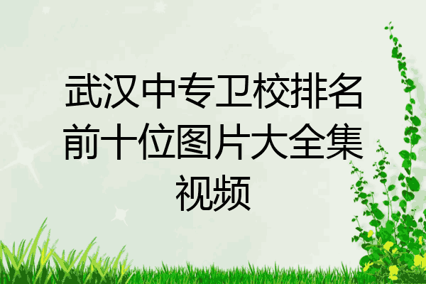武汉中专卫校排名前十位图片大全集视频