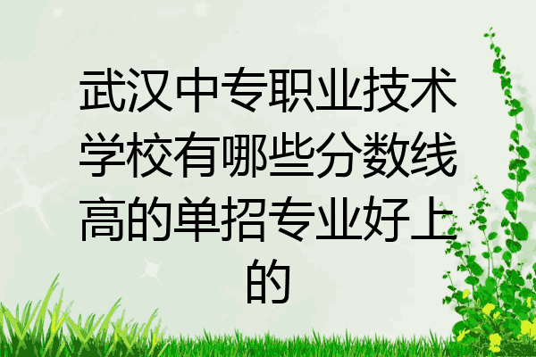 武汉中专职业技术学校有哪些分数线高的单招专业好上的