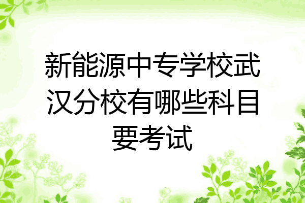 新能源中专学校武汉分校有哪些科目要考试