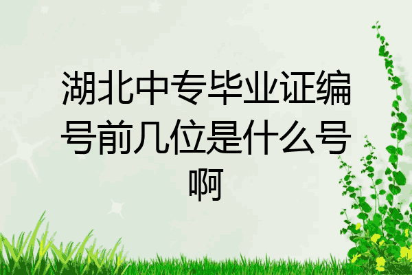 湖北中专毕业证编号前几位是什么号啊