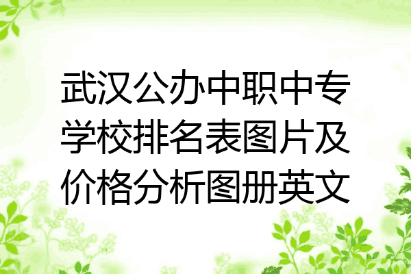 武汉公办中职中专学校排名表图片及价格分析图册英文