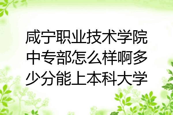 咸宁职业技术学院中专部怎么样啊多少分能上本科大学