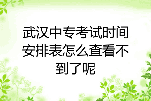 武汉中专考试时间安排表怎么查看不到了呢