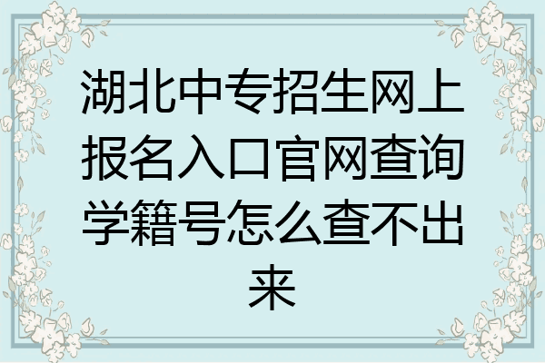 湖北中专招生网上报名入口官网查询学籍号怎么查不出来