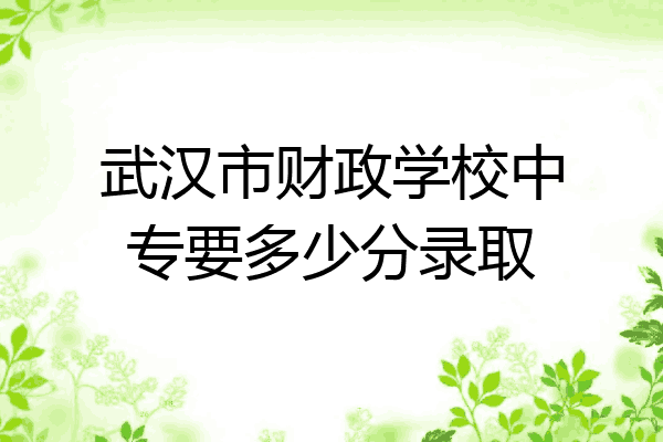 武汉市财政学校中专要多少分录取