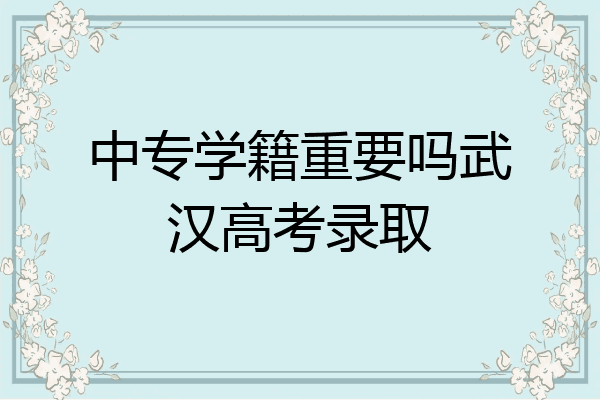 中专学籍重要吗武汉高考录取