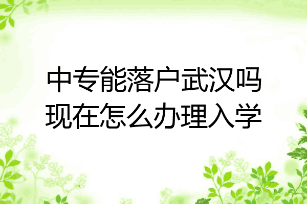 中专能落户武汉吗现在怎么办理入学