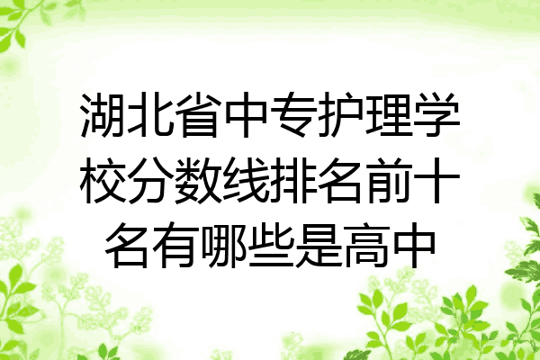 湖北省中专护理学校分数线排名前十名有哪些是高中