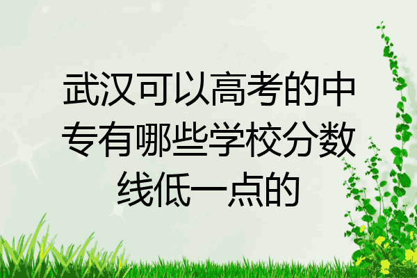 武汉可以高考的中专有哪些学校分数线低一点的