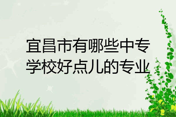 宜昌市有哪些中专学校好点儿的专业