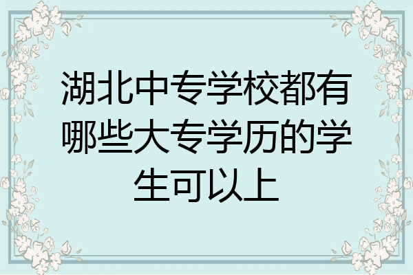 湖北中专学校都有哪些大专学历的学生可以上
