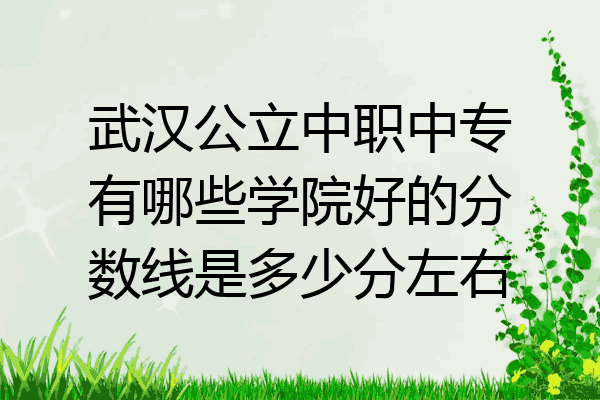 武汉公立中职中专有哪些学院好的分数线是多少分左右