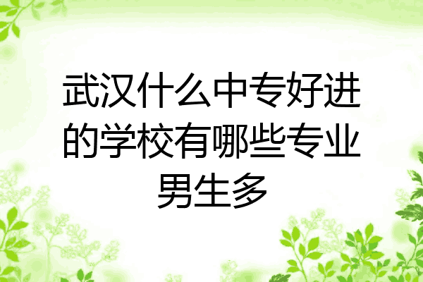 武汉什么中专好进的学校有哪些专业男生多