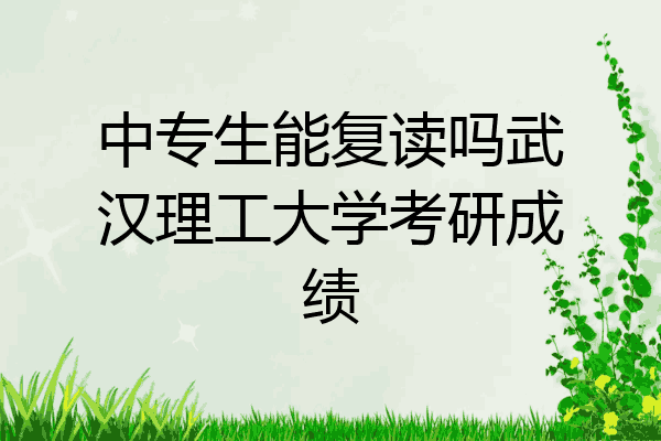 中专生能复读吗武汉理工大学考研成绩