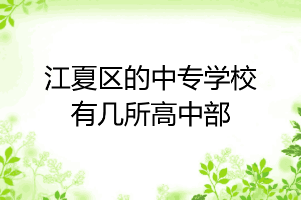 江夏区的中专学校有几所高中部