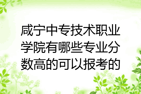 咸宁中专技术职业学院有哪些专业分数高的可以报考的