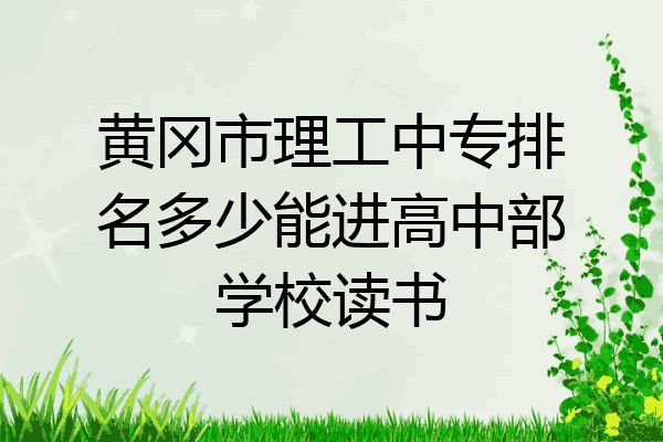 黄冈市理工中专排名多少能进高中部学校读书