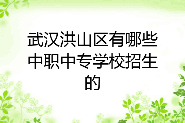 武汉洪山区有哪些中职中专学校招生的