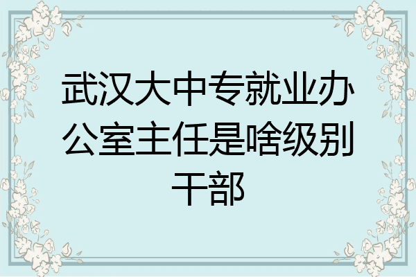 武汉大中专就业办公室主任是啥级别干部