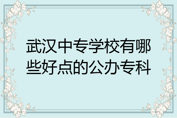 武汉中专学校有哪些好点的公办专科