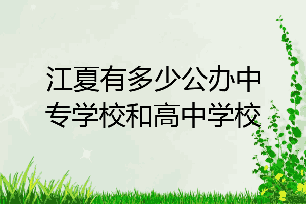 江夏有多少公办中专学校和高中学校